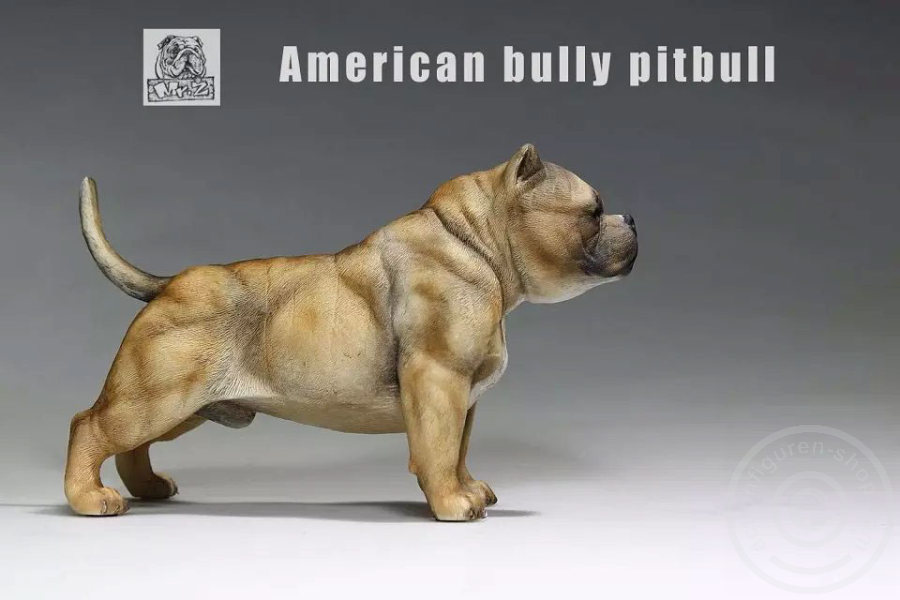 MRZ001-05 American Bully Dog - dark color