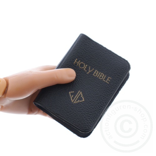 Bibel - Heilige Schrift - Buch in 1:6