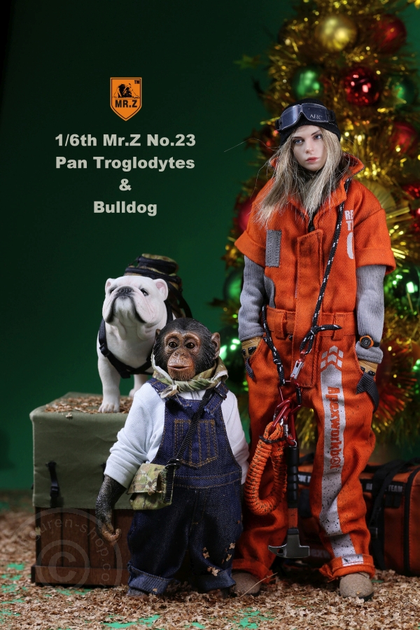 Chimpanzee and Bulldog Set