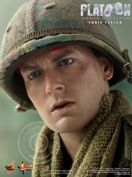 173597-03 Platoon - Chris Taylor