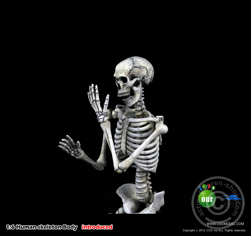 Skeleton Spear Soldier - Human Skeleton in 1:6