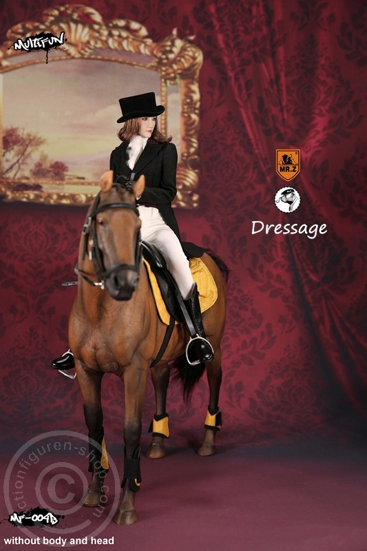 Dressage Set B