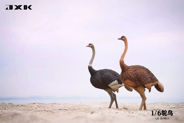 JXK097A2-07 Ostrich - w/ Saddle & Bridle - Version A2