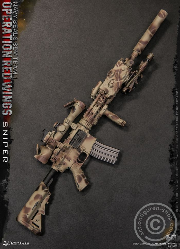 Operation Red Wings - NAVY SEALS SDV TEAM 1 - Sniper