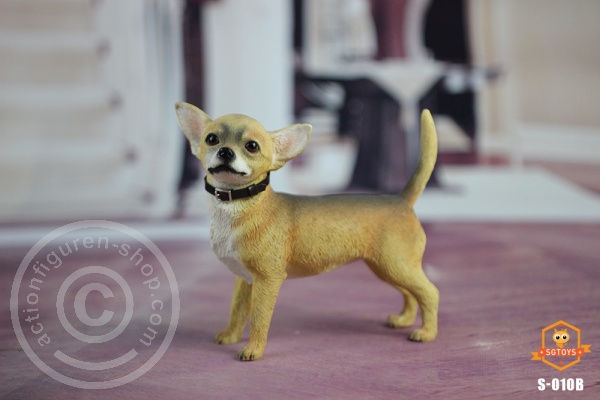 Chihuahua Dog (light Color)