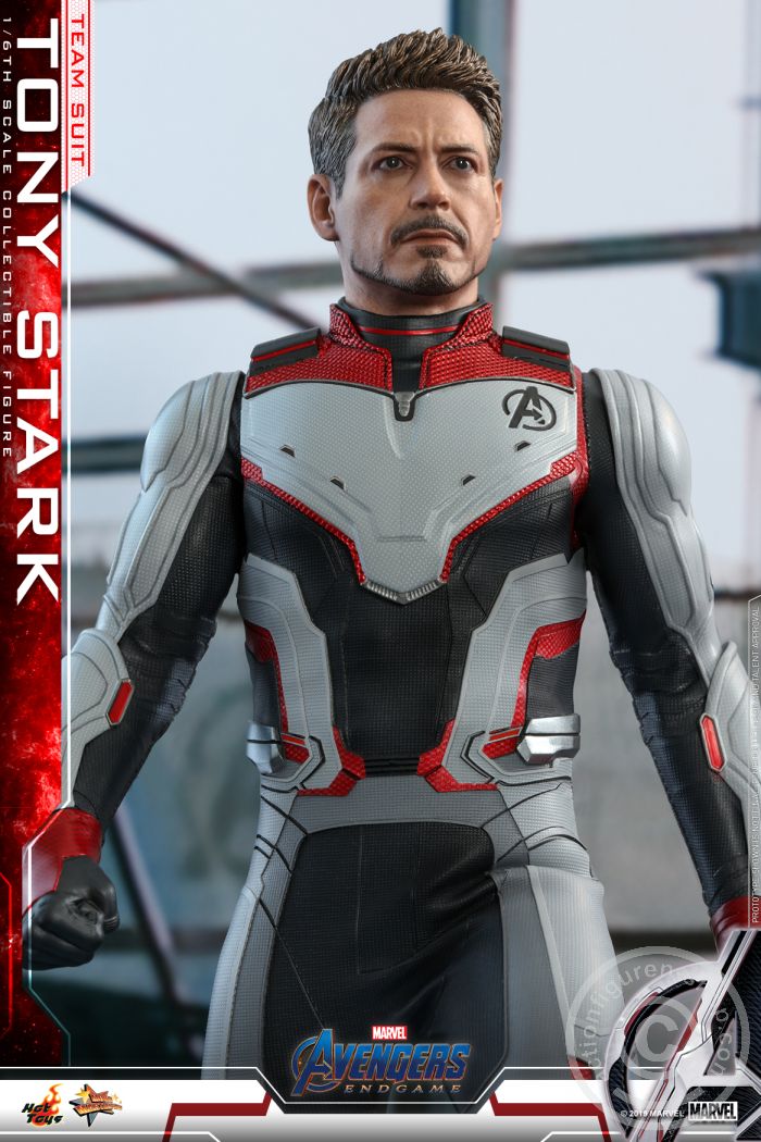 Avengers Endgame - Tony Stark (Team Suit)