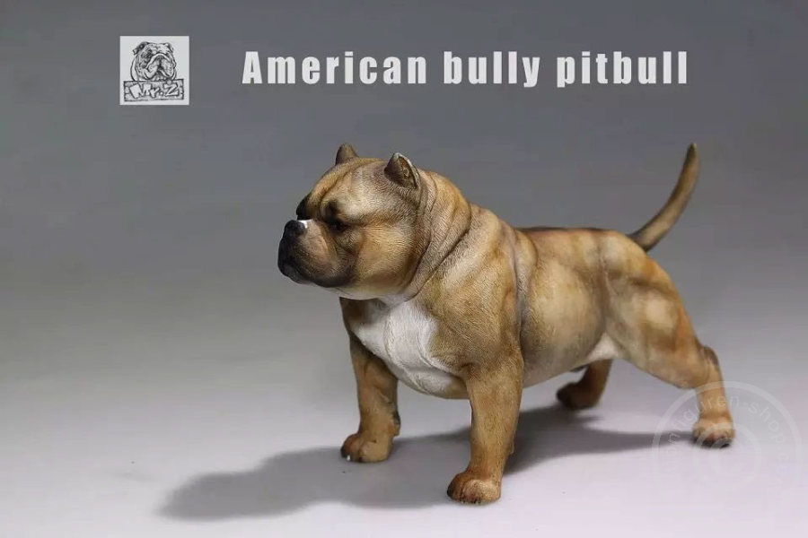 MRZ001-11 American Bully Dog - dark color