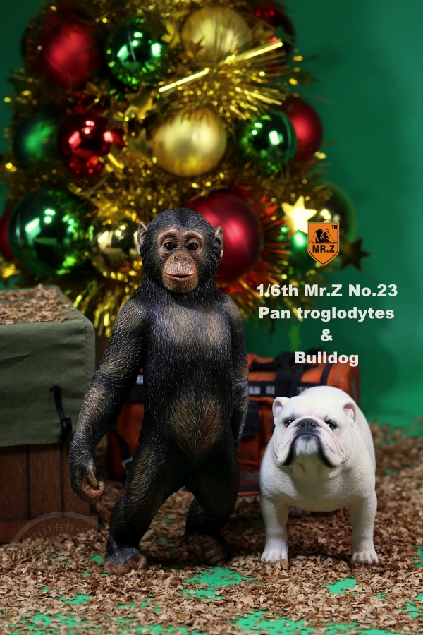 Chimpanzee and Bulldog Set