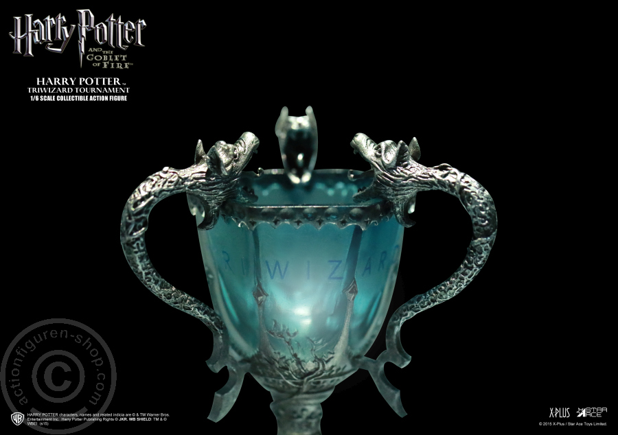 SA008-09 Harry Potter - Triwizard Tournament Version