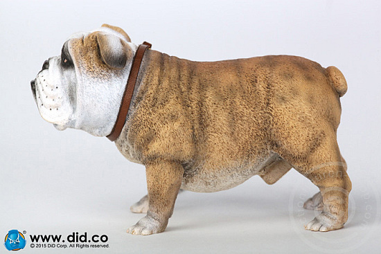 AS002A-02a British Bulldog - Version A