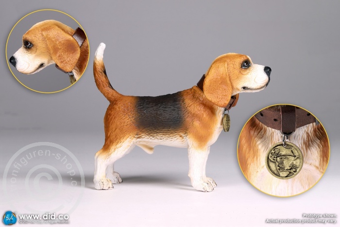 Diorama - "Star of Afrika"