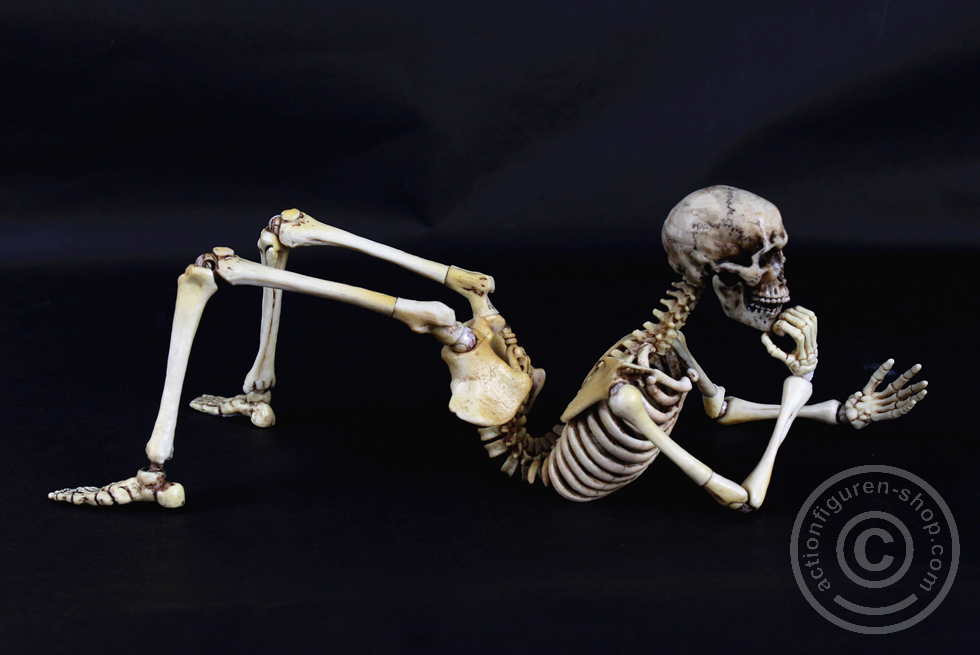 Skeleton Spear Soldier - Human Skeleton in 1:6