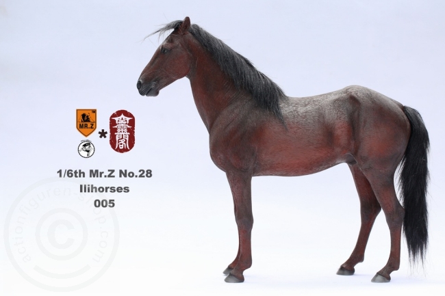 MRZ028-05-01 Ili Pferd - braun