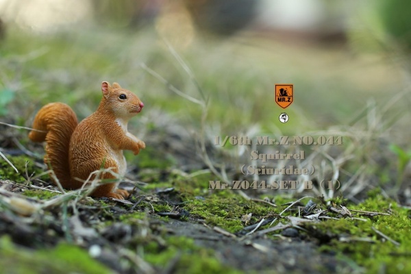 MRZ044B-09 3 Squirrel (Set B)