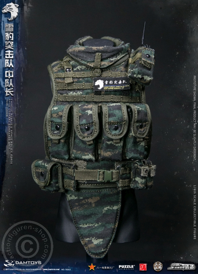 DA78053-26 China People Armed Police Force - Snow Leopard Commando Leader