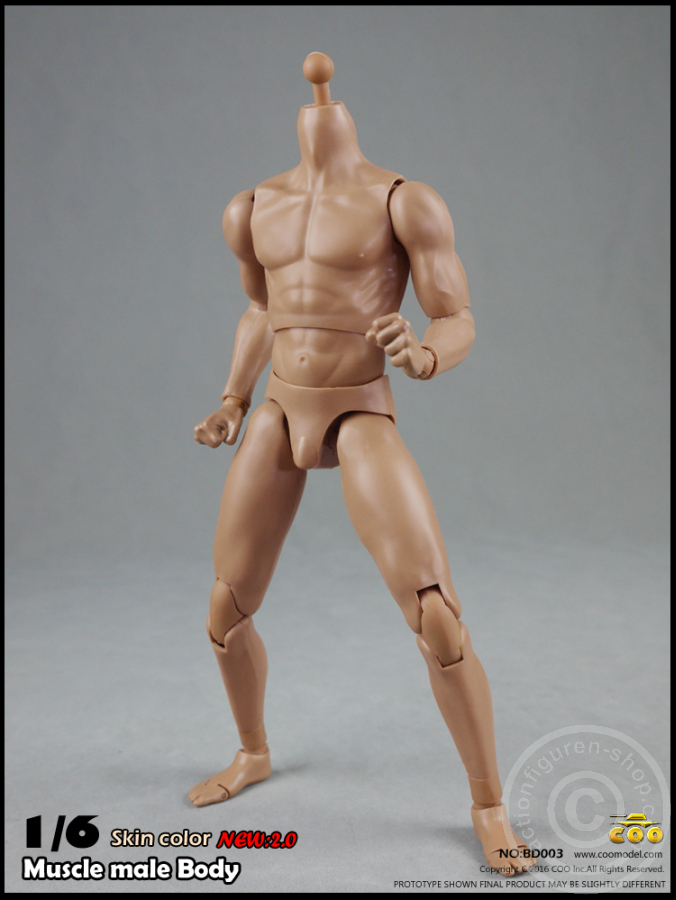COOBD003-05 Male Body 2.0 - Muscular - 27cm