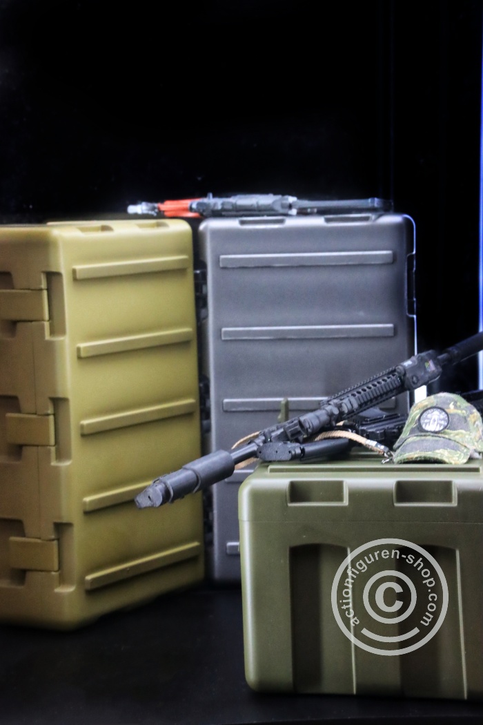 M4 Case - Military Case/Box - sand/desert
