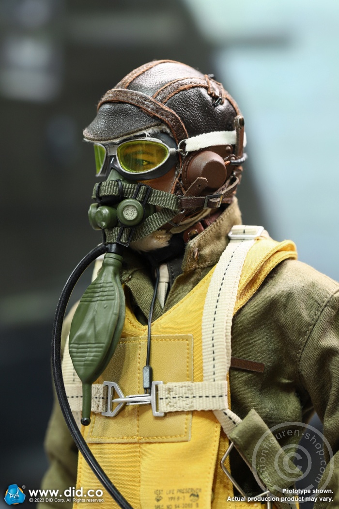 Captain Rafe - WWII United States Army Air Forces Pilot Captain Rafe - WWII United States Army Air Forces Pilot