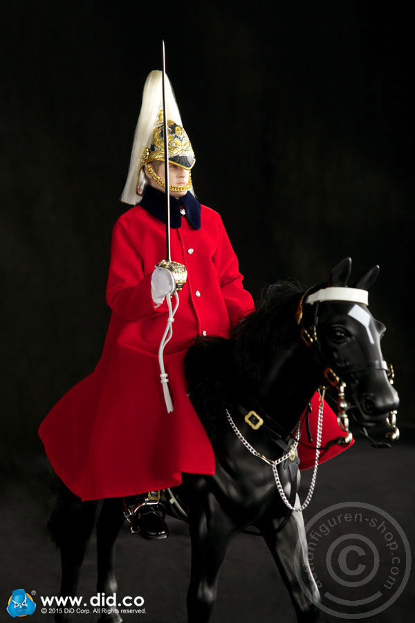 80108-20uXNPHfHlMxi30 The Life Guards