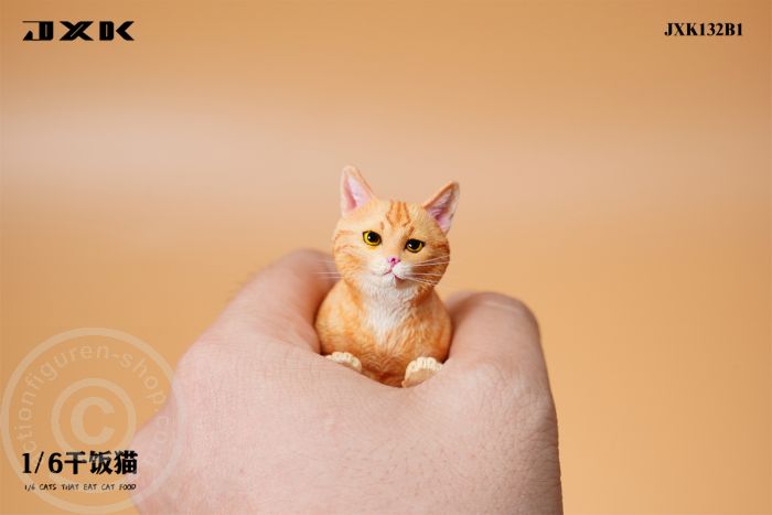Cats That Eat Cat Food - B1 Cats That Eat Cat Food - B1