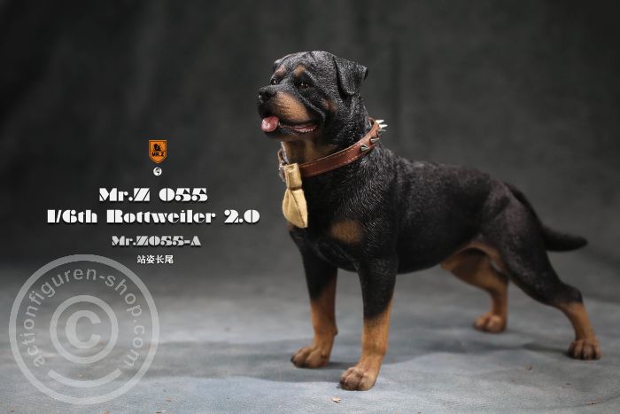 MrZ055A-02 Rottweiler - Version A