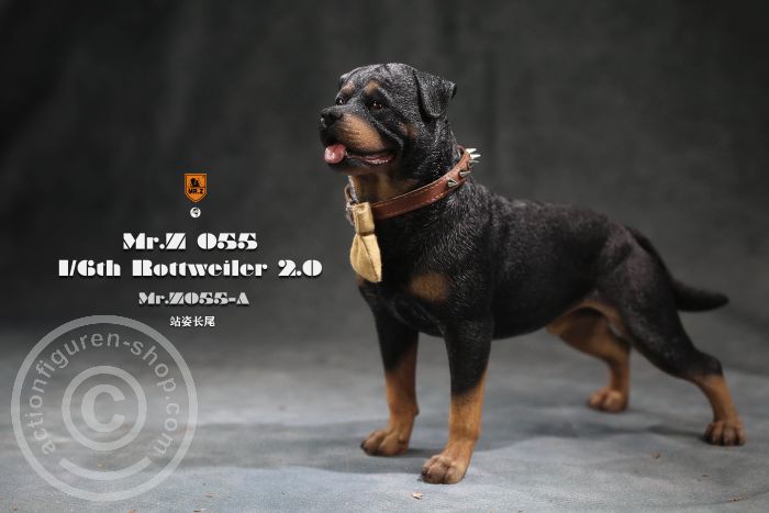 Rottweiler - Version A