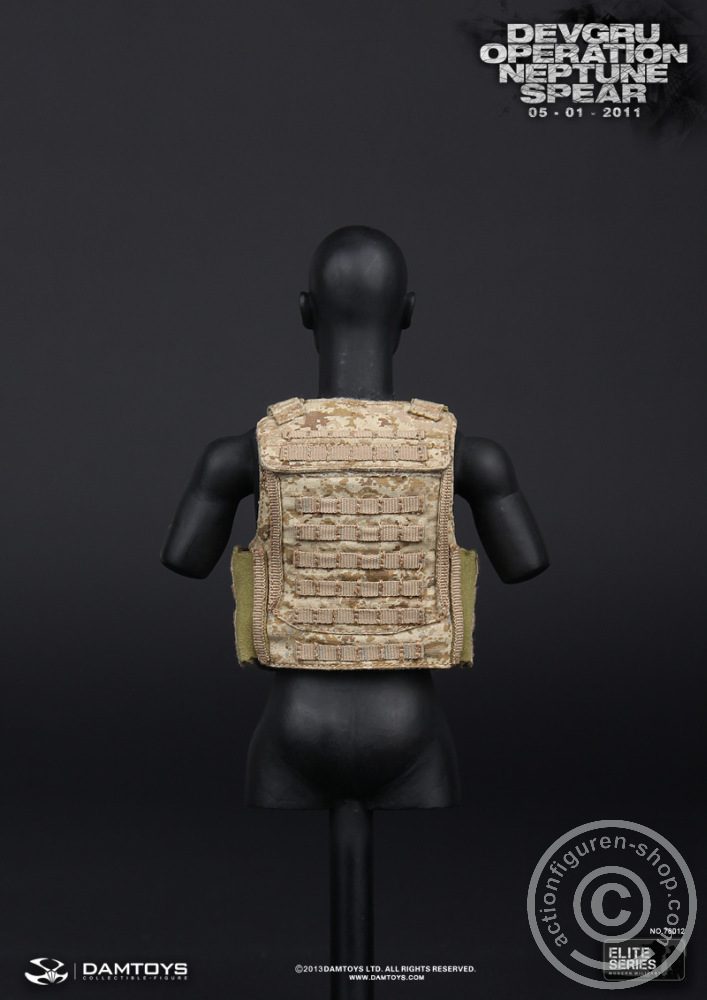 DA78012-51 DEVGRU Operation Neptune Spear