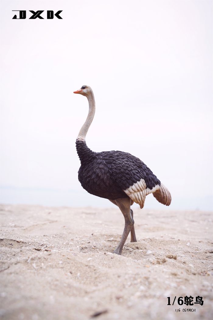 JXK097A2-05 Ostrich - w/ Saddle & Bridle - Version A2