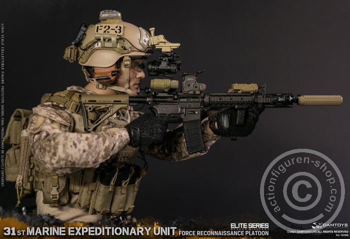 31st Marine Expeditionary Unit - Force Reconnaissance Platoon