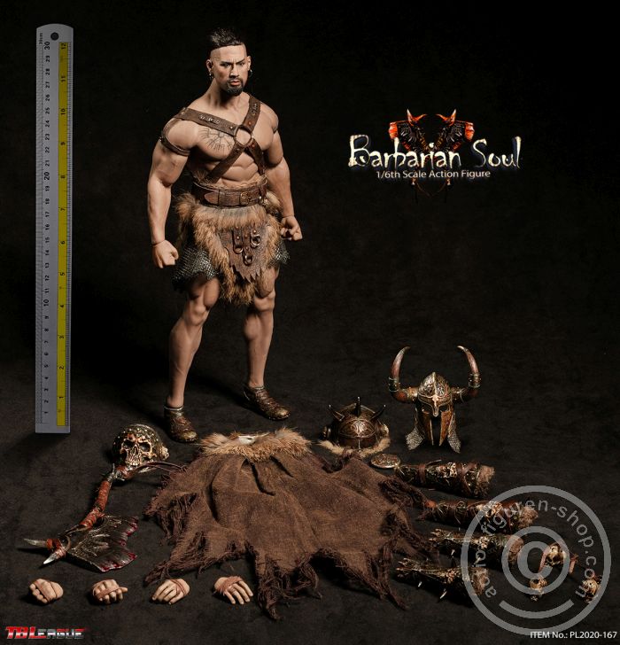 Barbarian Soul