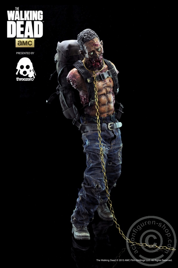 3A-Pet1-03Dp6t71FWK7JBy Michonne Zombie Pet 1 (green)