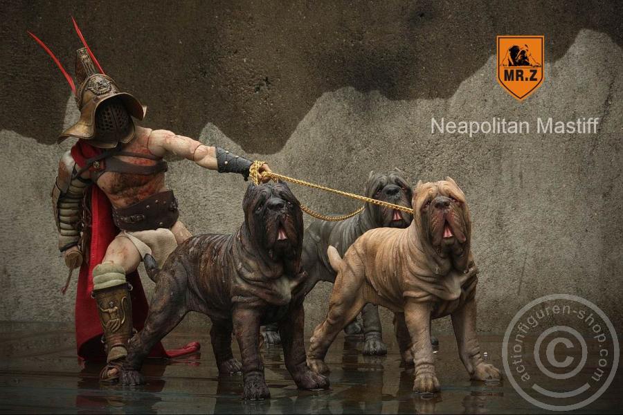MRZ-NM-F Neapolitan Mastiff - tan