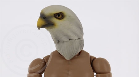 TC-M1007C-05 Vogel Kopf für 1:6 Figuren