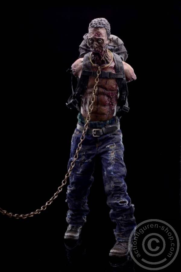 3A-Pet1-07Q9SE4lAOBxkNY Michonne Zombie Pet 1 (green)