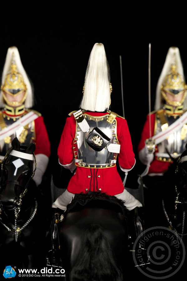 80108-16 The Life Guards