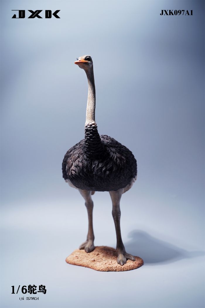 JXK097A2-03 Ostrich - w/ Saddle & Bridle - Version A2