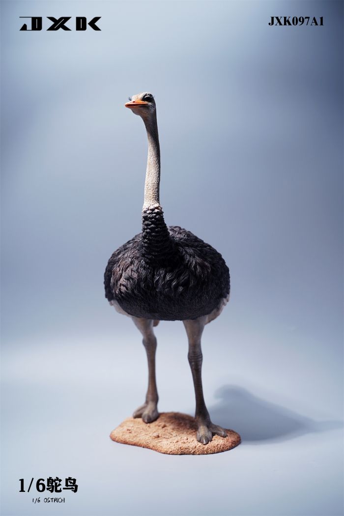 Ostrich - w/ Saddle & Bridle - Version A2