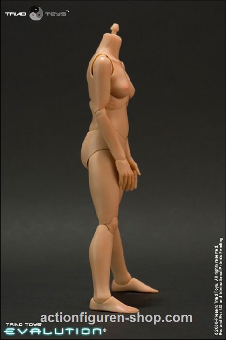 TREVA1-06 Evalution (EVA) Body Caucasian