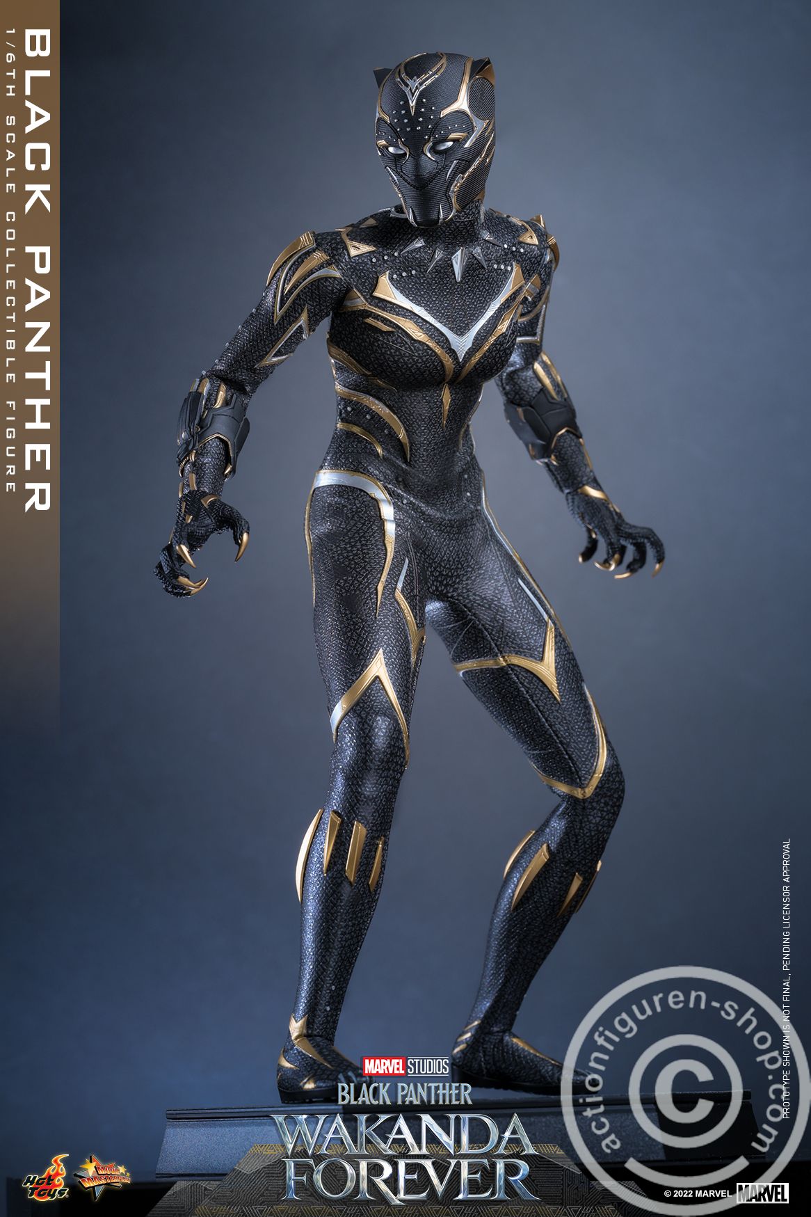 Black Panther: Wakanda Forever - Black Panther - MMS675