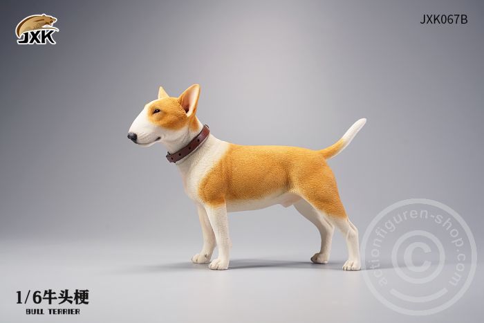 Bull Terrier - white/brown