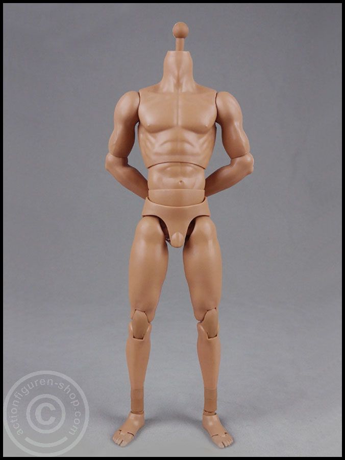 COOBD004-02 Male Body 2.0 - Muscular - 27cm