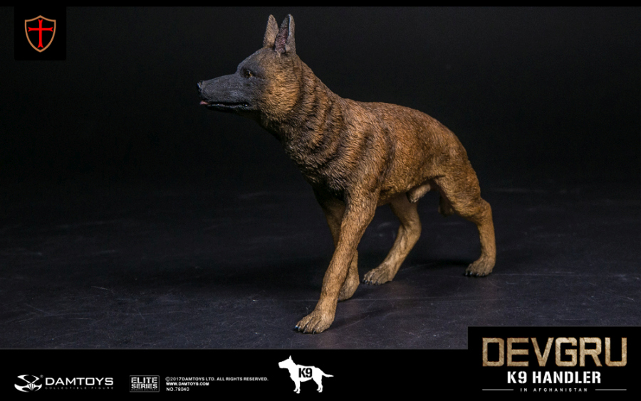 DA78040-21 DEVGRU K9-Handler in Afghanistan