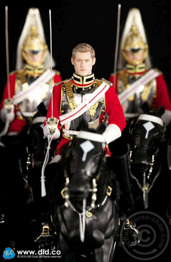 80108-17 The Life Guards