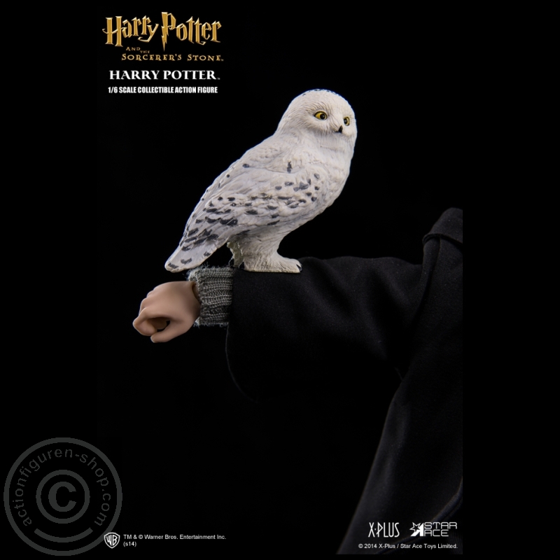 Harry Potter Harry Potter And The Sorcerers Stone