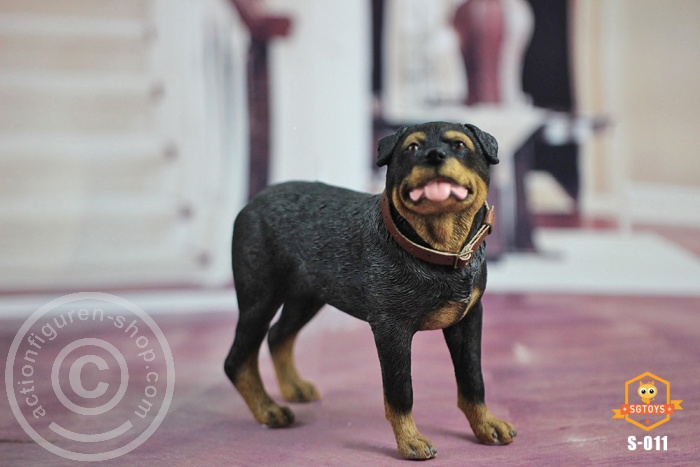 Rottweiler - black/brown