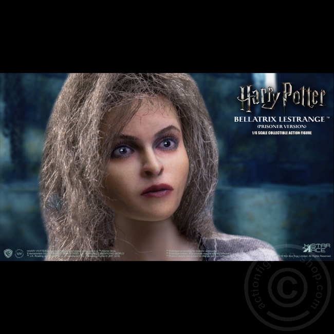 Bellatrix Lestrange (Prisoner Version)