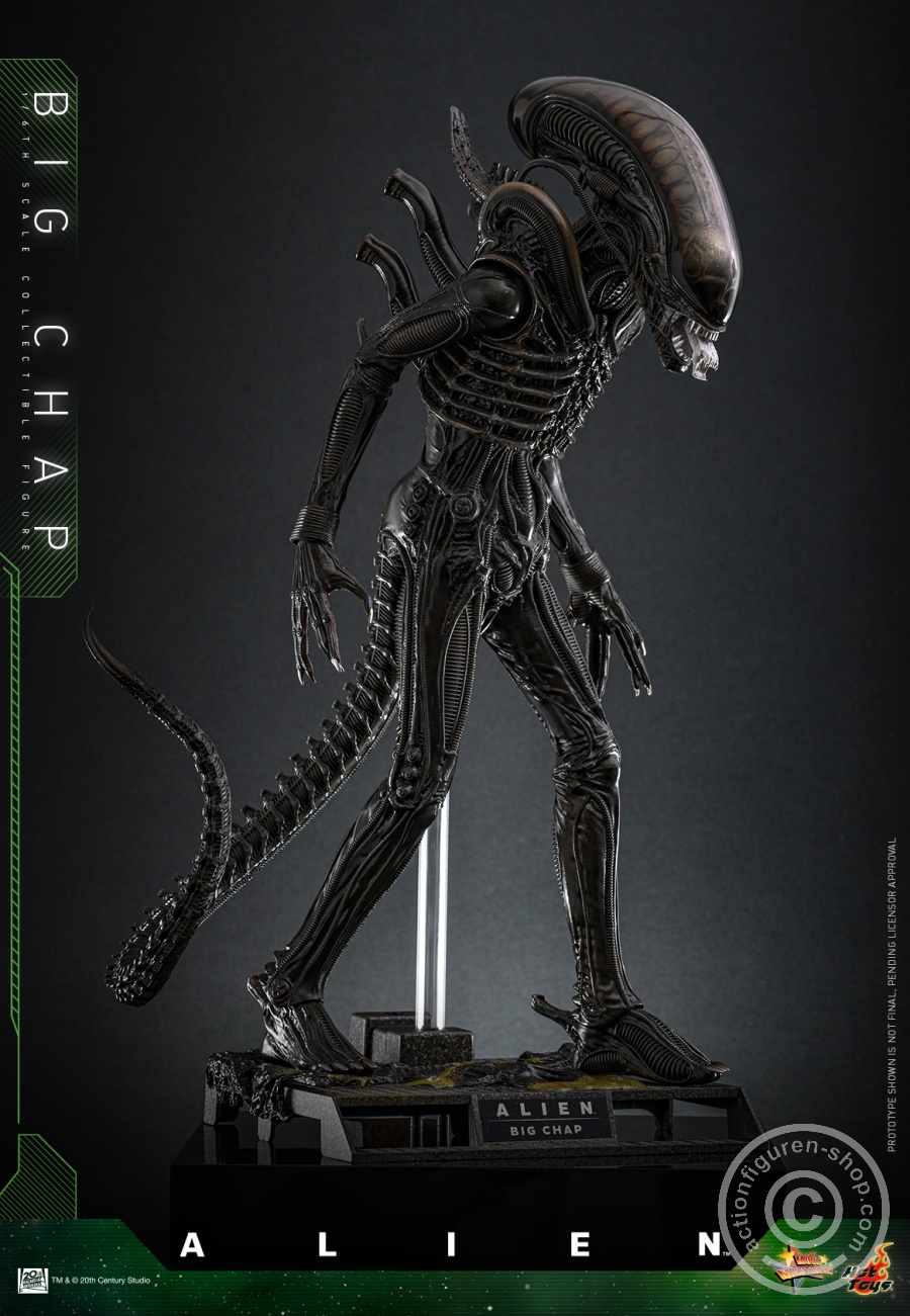 Hot Toys – MMS826 - Alien - 1/6th scale Big Chap Collectible Figure