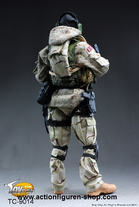 British Special Force Support Group