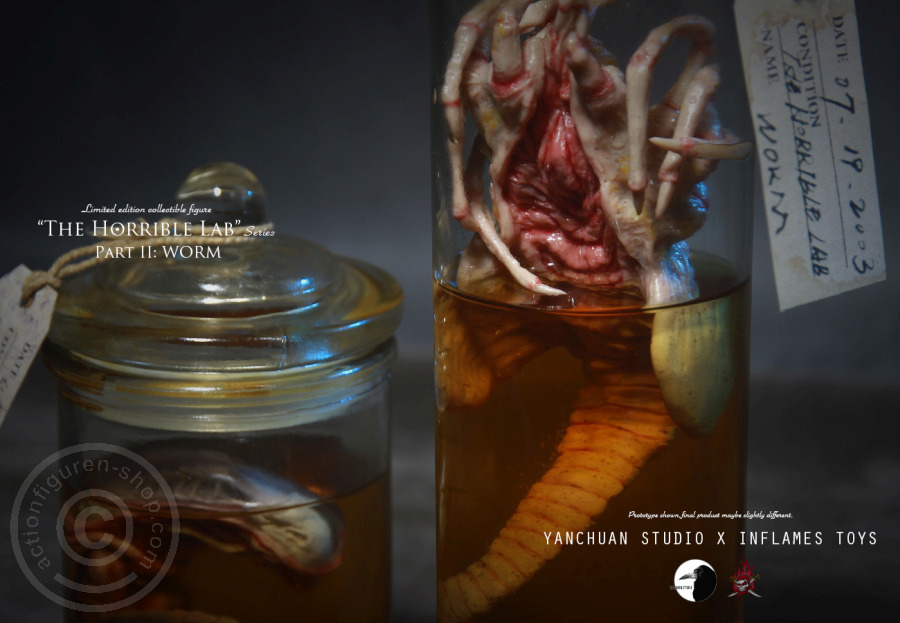 IFT-022-09 The Horrible Lab Series - WORM