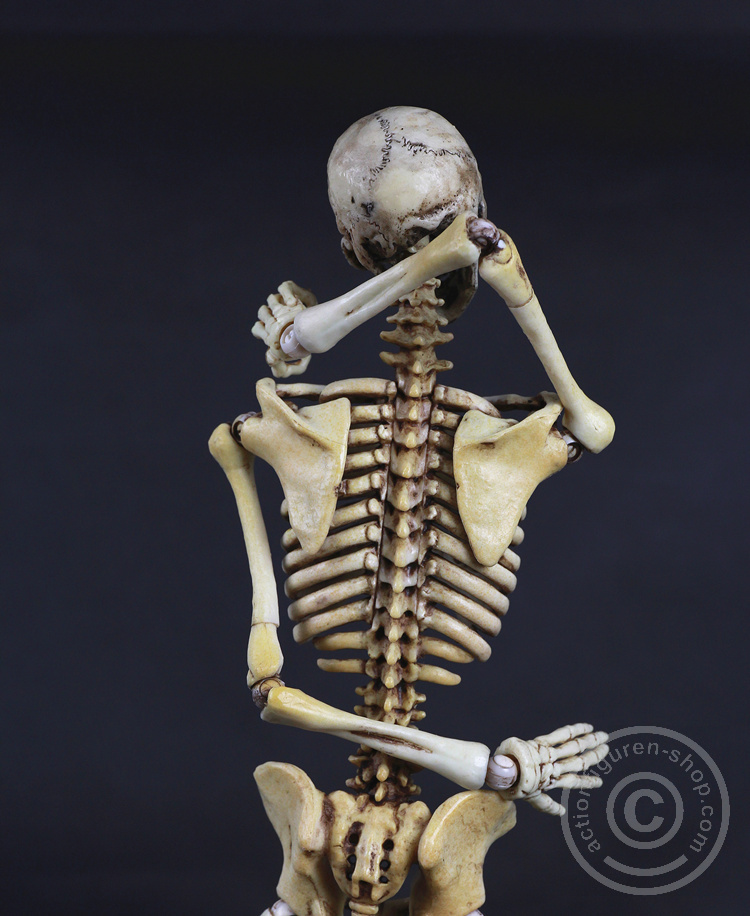Skeleton Spear Soldier - Human Skeleton in 1:6